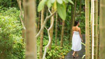 A pathway surrounded by bamboo and greenery, leading to a person in a white dress.