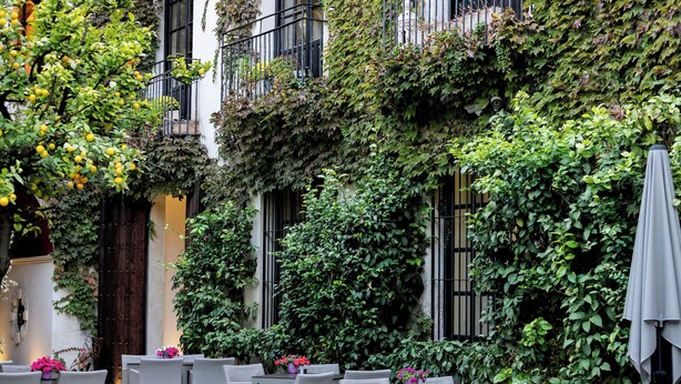 Terrace/patio - Hospes Palacio del Bailío, a Member of Design Hotels (Córdoba)