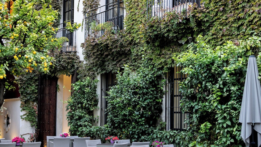 Hospes Palacio del Bailío, a Member of Design Hotels