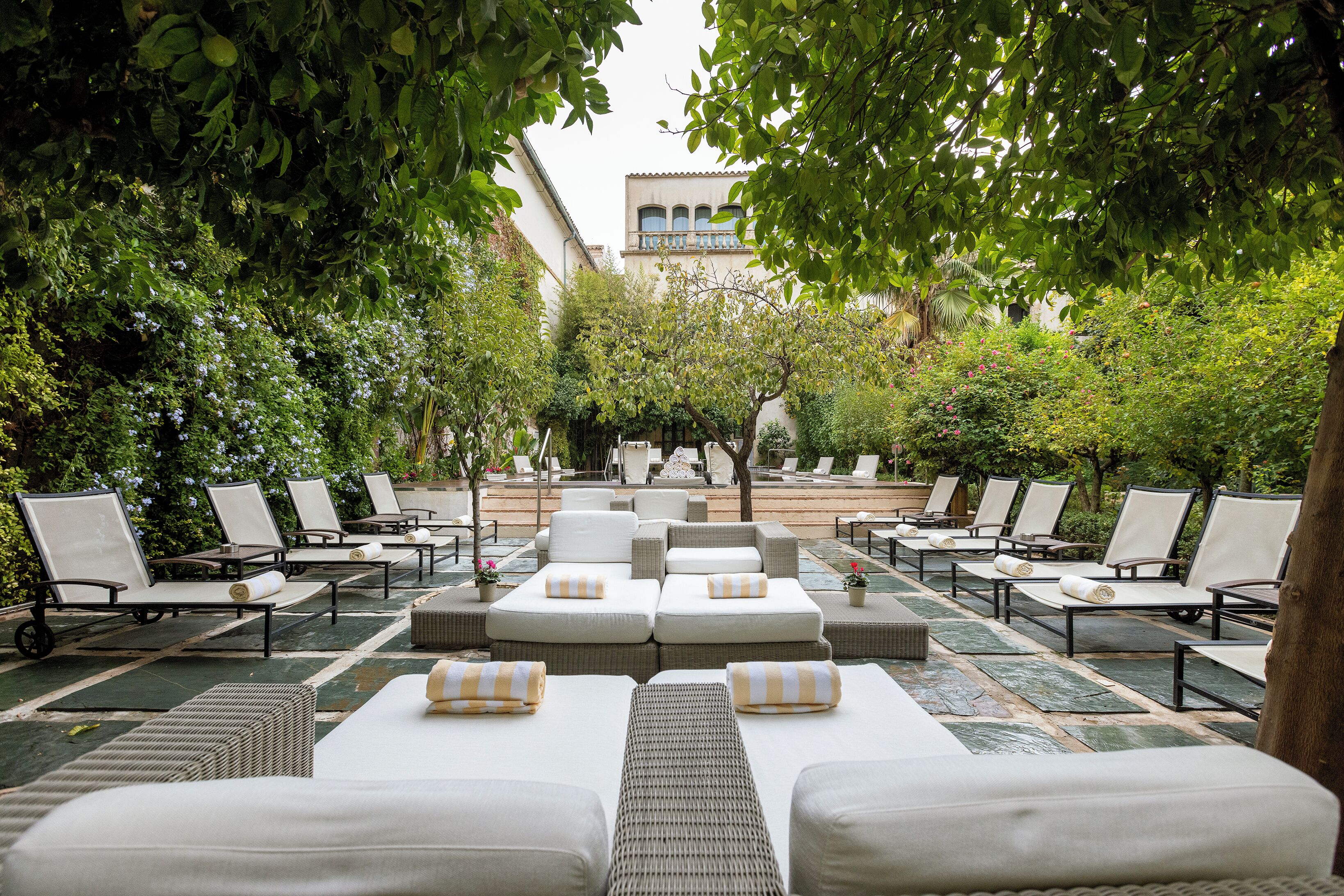 Piscine extérieure, parasols de plage, chaises longues