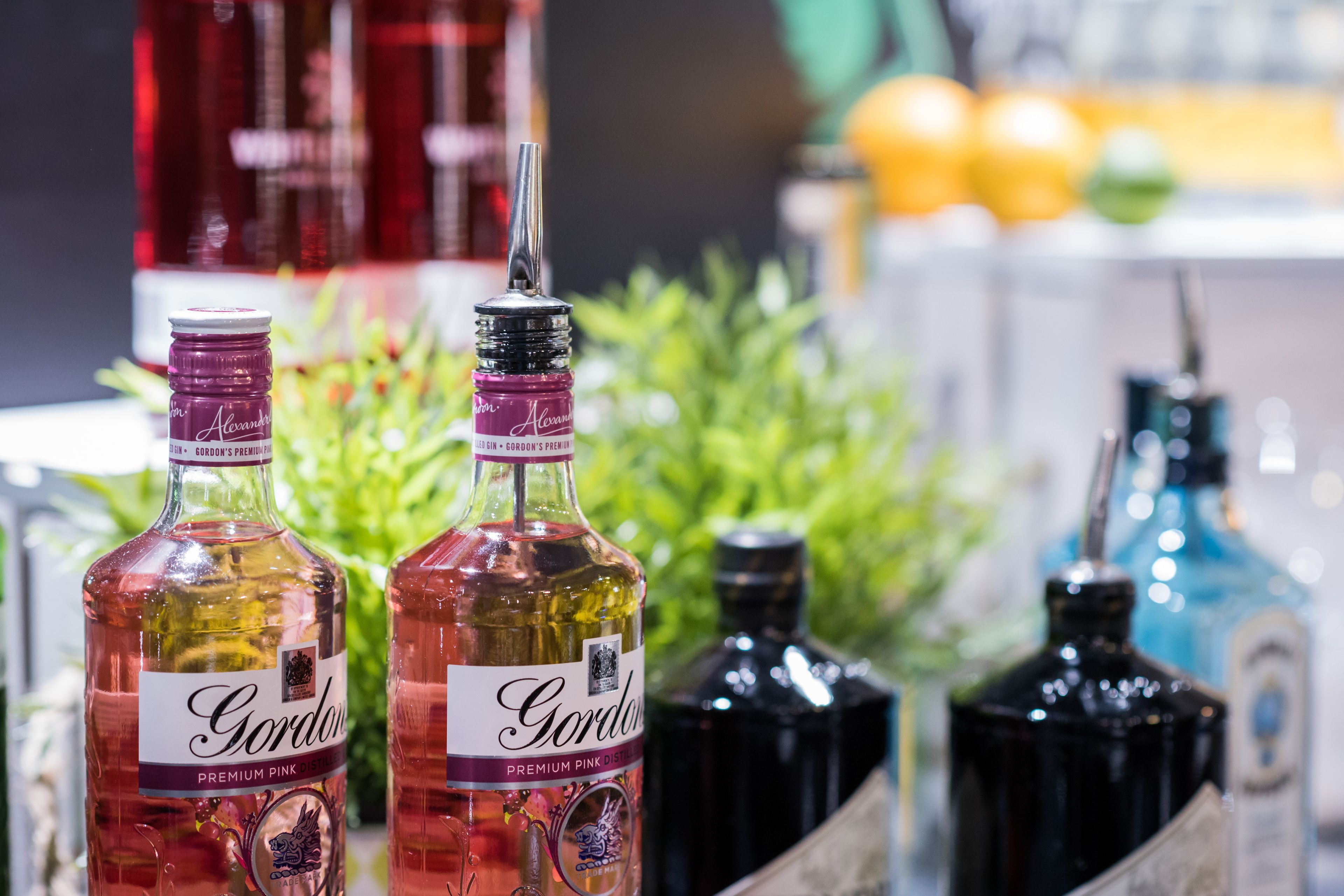 Two bottles of Gordon's Premium Pink Gin with a blurred background of other bottles and greenery.