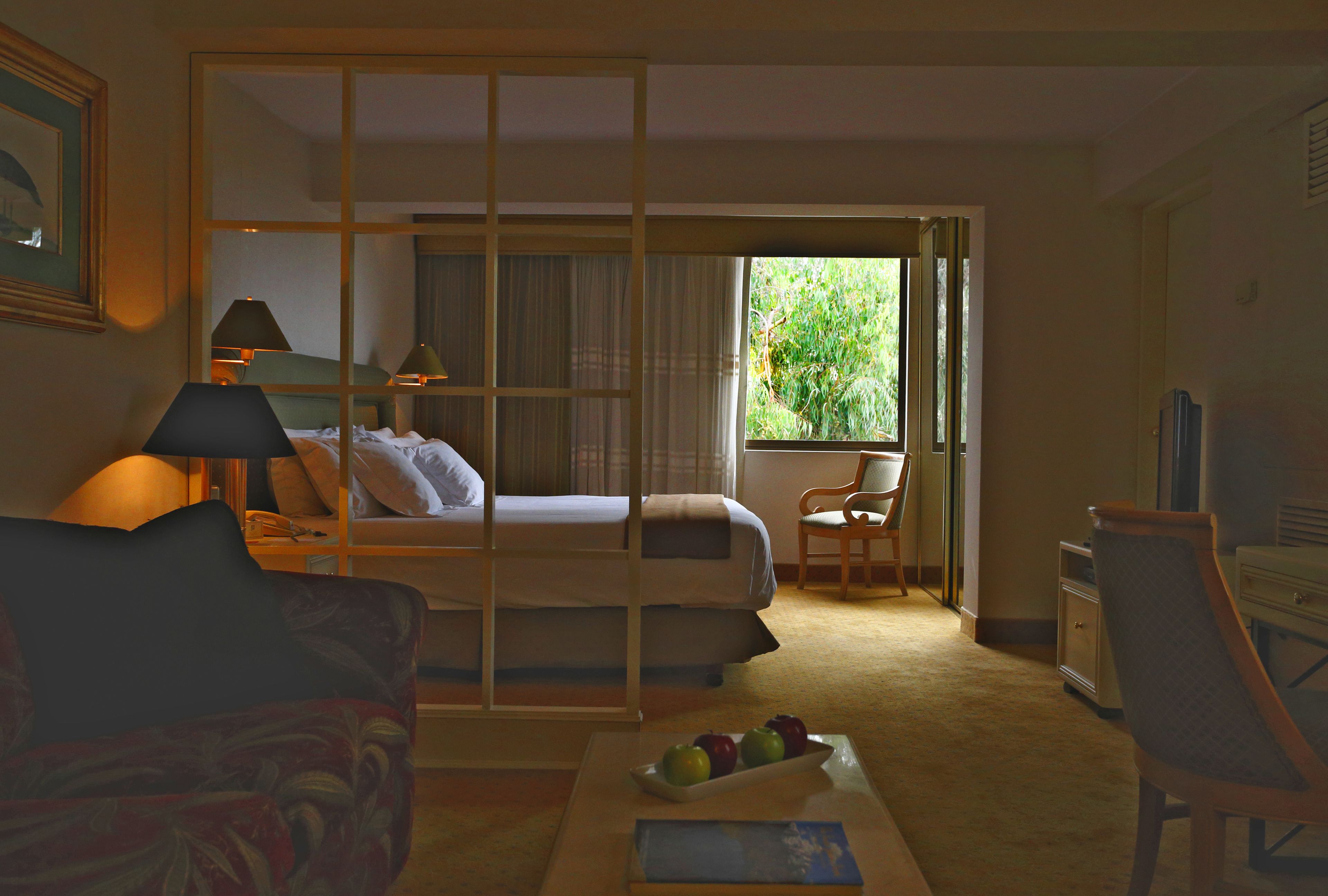Foto - Suites del Bosque Hotel