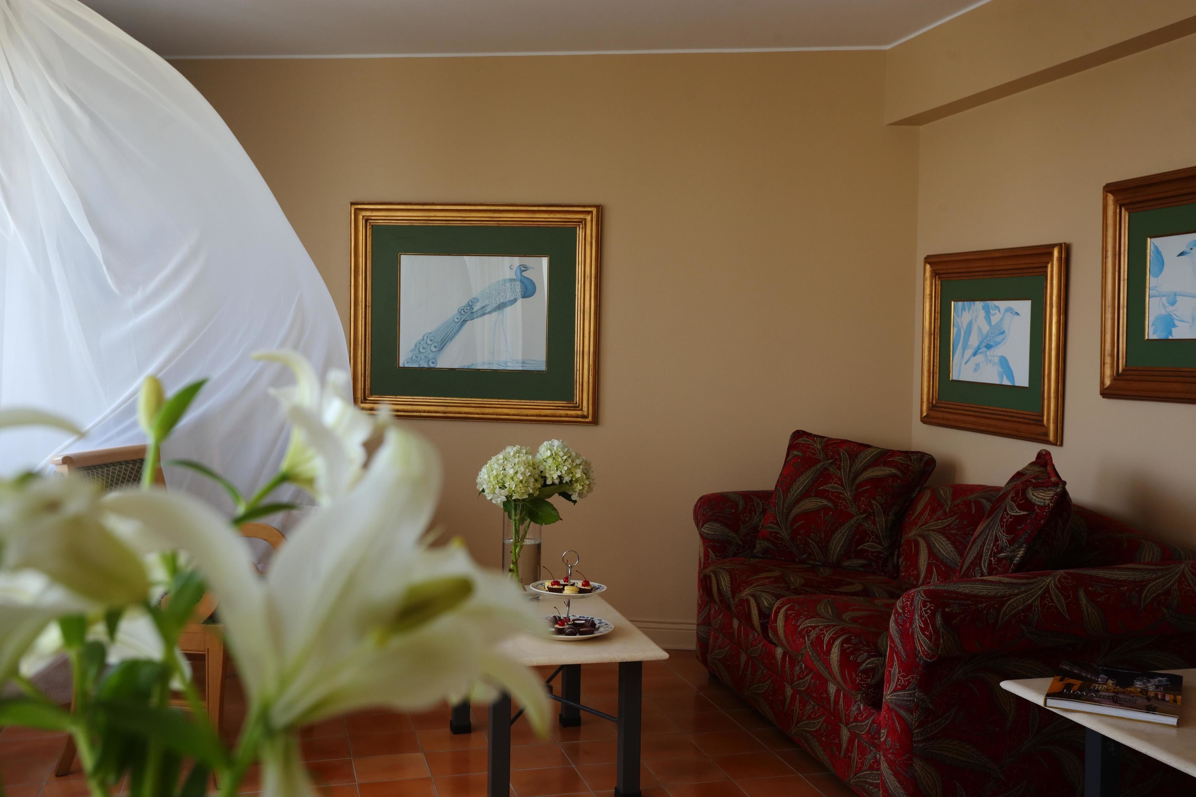 Foto - Suites del Bosque Hotel