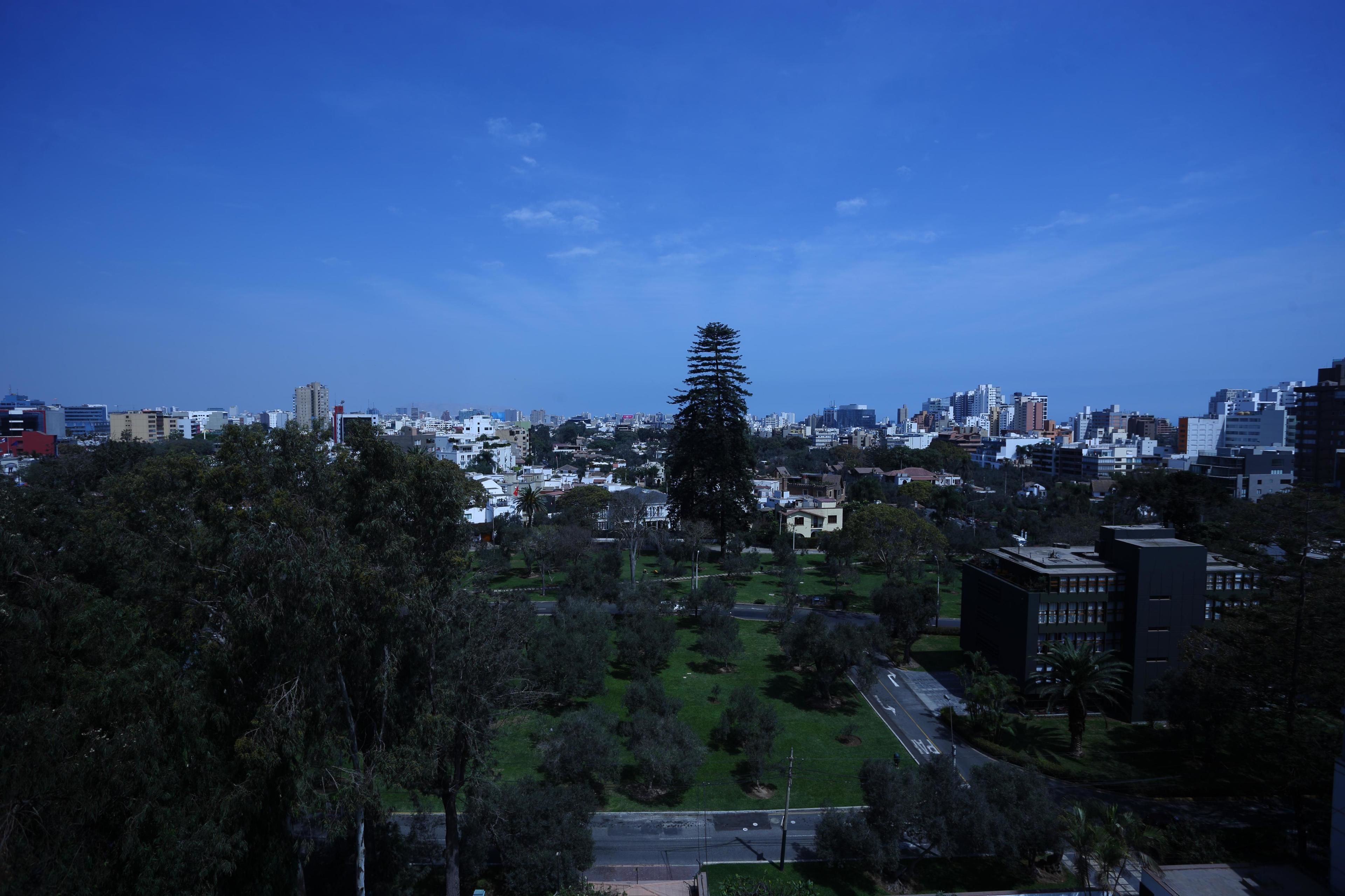 Foto - Suites del Bosque Hotel