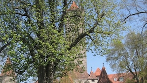 Ein historisches Gebäude mit einem großen Baum im Vordergrund, umgeben von einem Feld voll Margeriten.