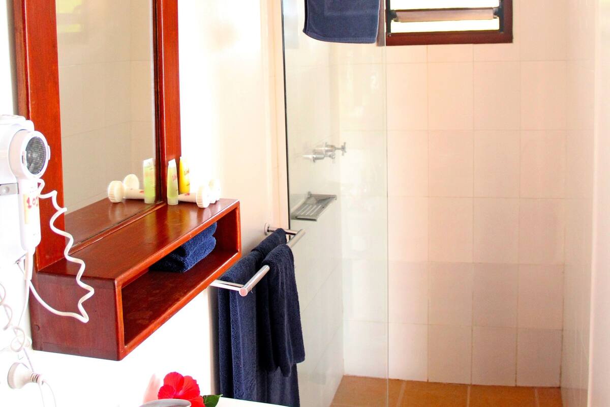 shower, rainfall showerhead, free toiletries, hair dryer