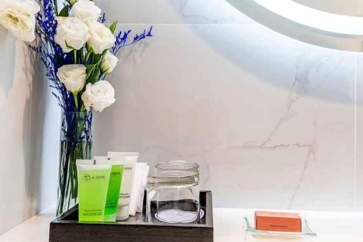 Bañera con ducha, artículos de tocador gratuitos, secador de pelo, batas