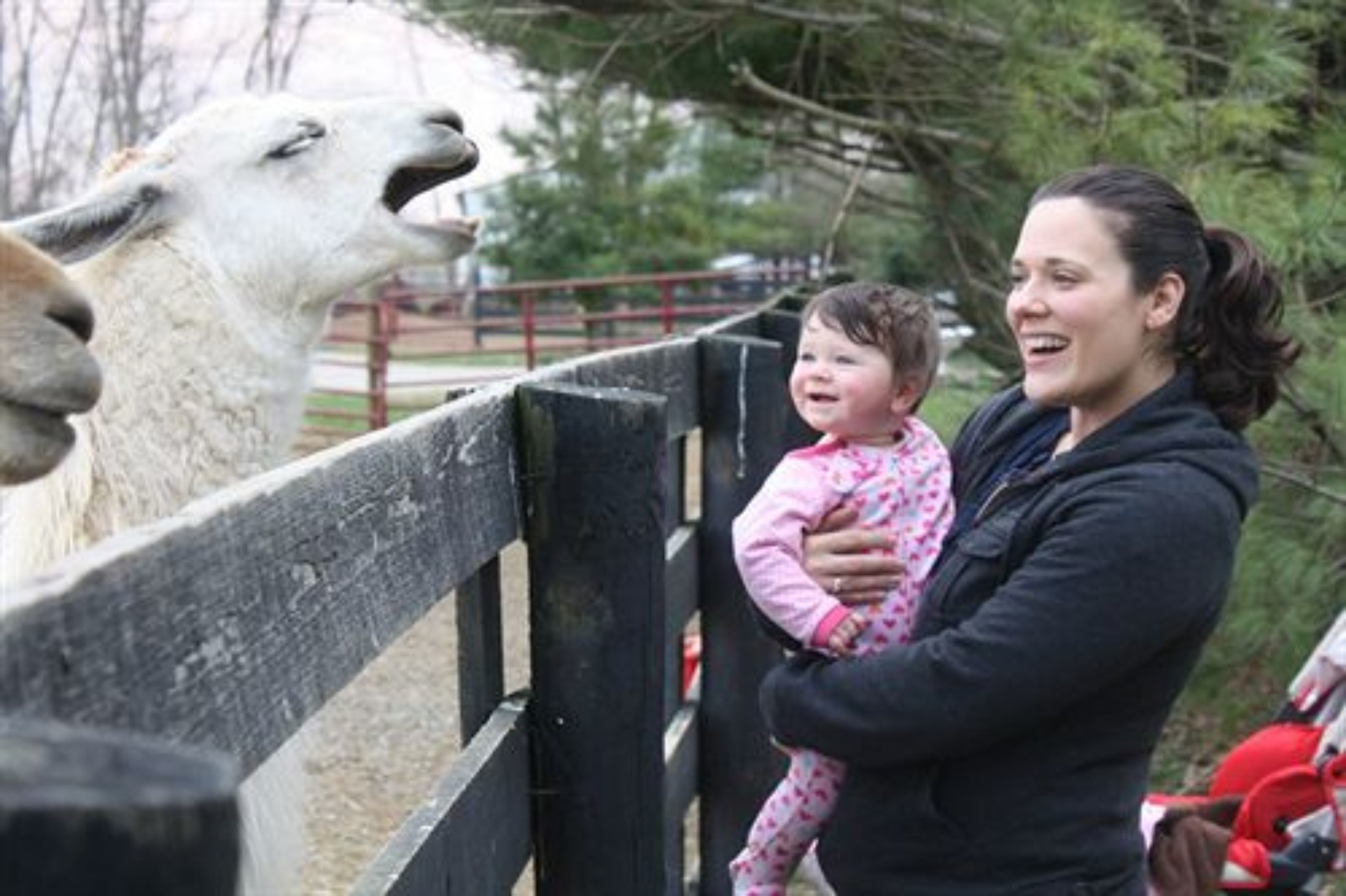 A person holding a child near a fence with a llama visible through it.