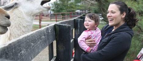 A person holding a child near a fence with a llama visible through it.