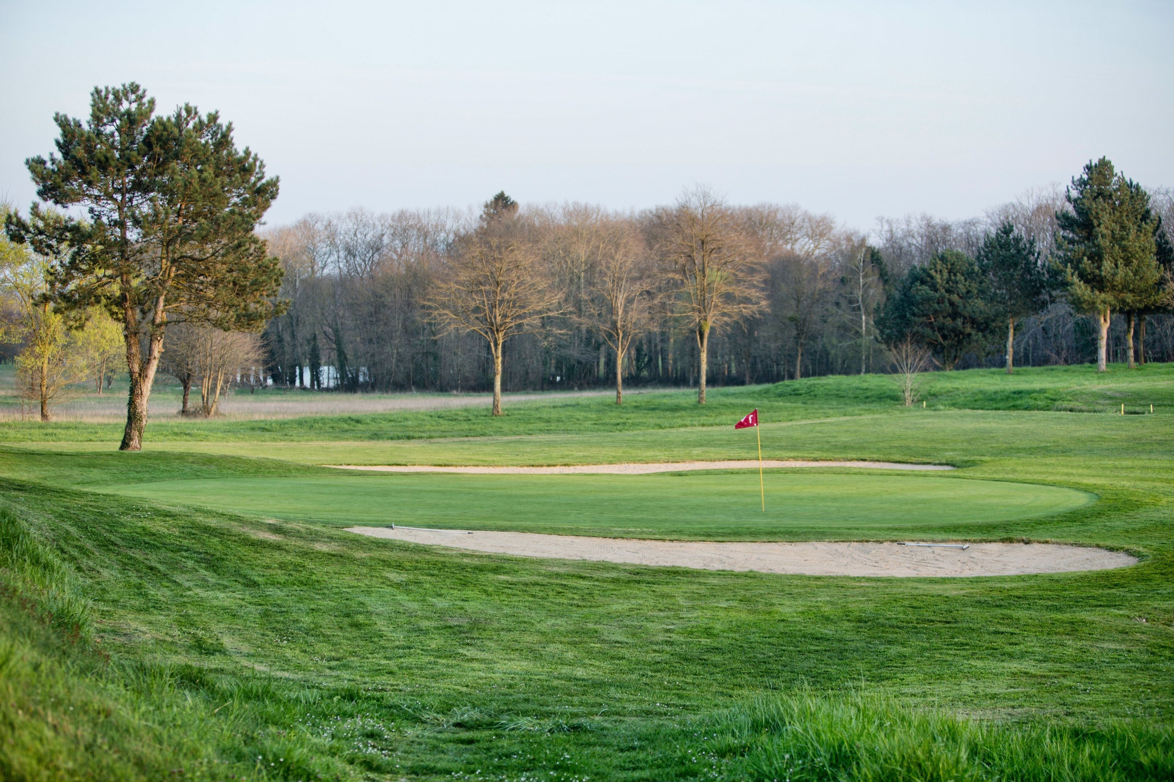 Un campo de golf con búnkeres de arena, árboles y una bandera que marca el hoyo.