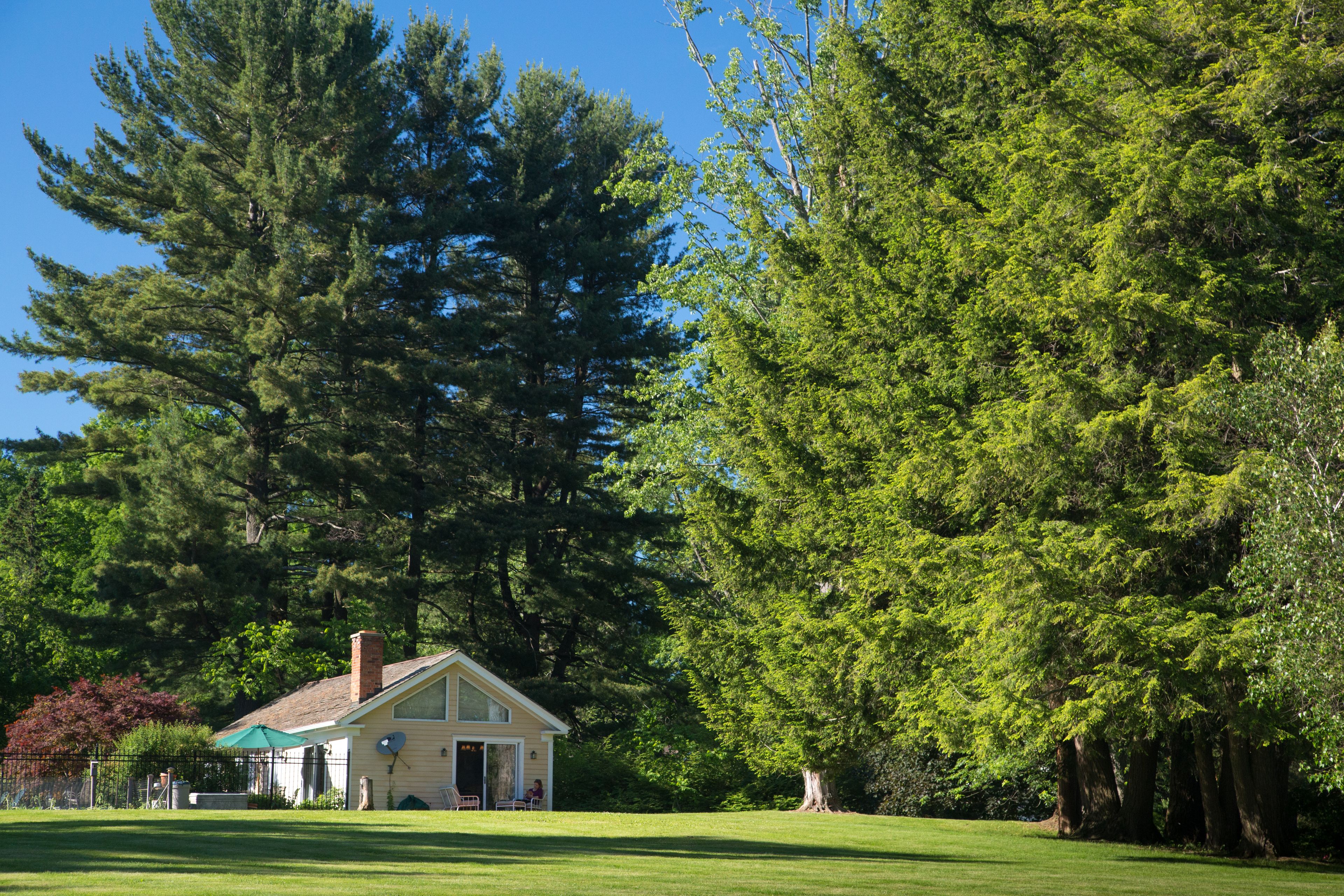 A house with a lawn and large trees in the background.