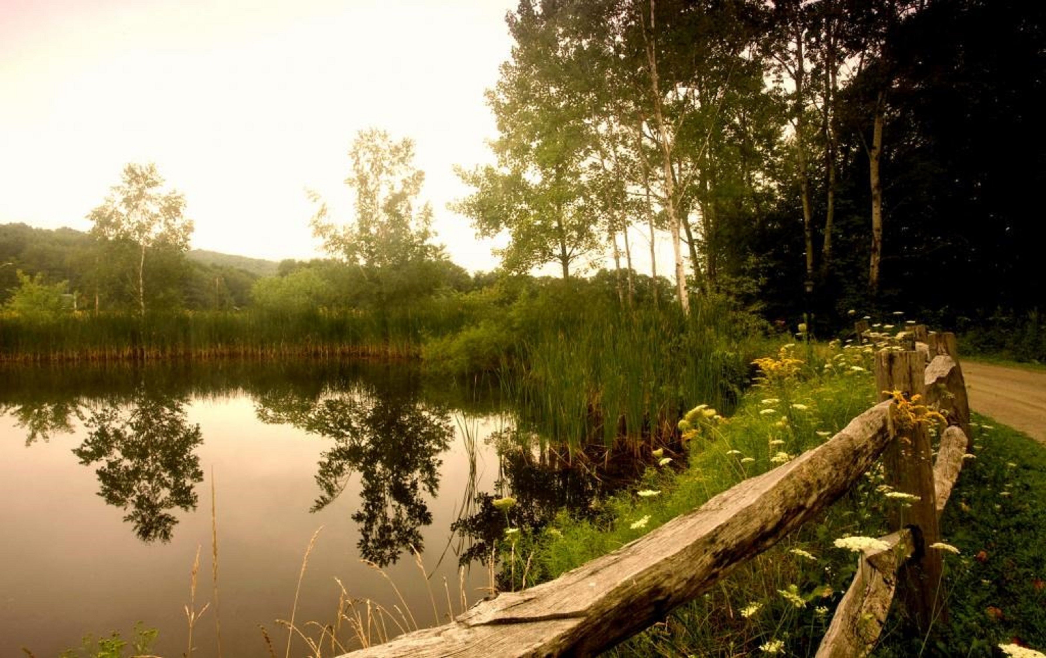 A serene lakeside scene with a wooden fence, dense greenery, and trees reflecting in the calm water.