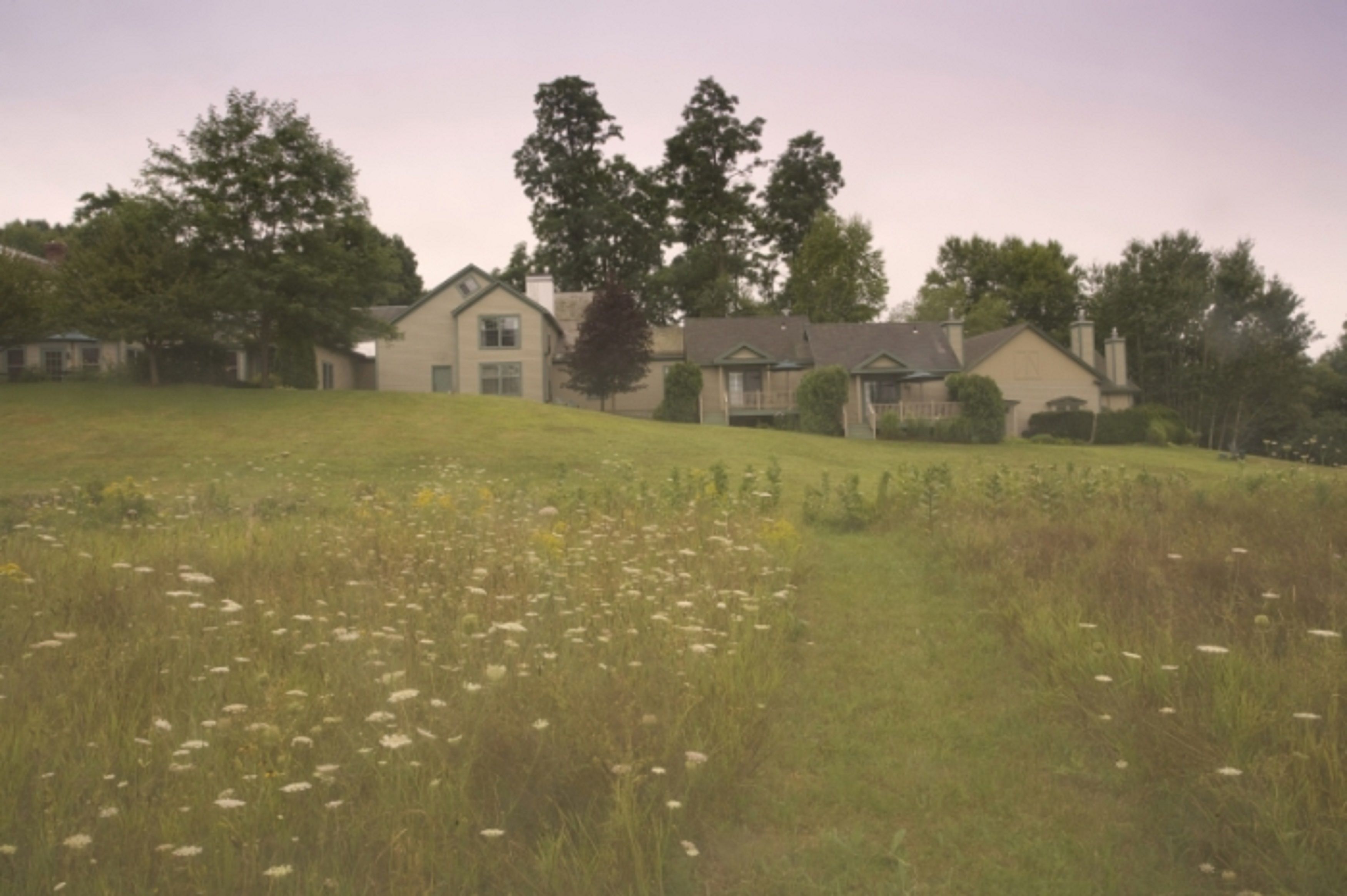 A residential area with houses on a grassy hill, surrounded by trees.