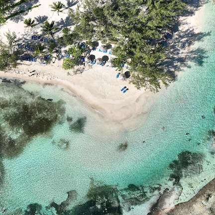 An aerial view of a beach with clear turquoise waters, sandy shore, and palm trees.