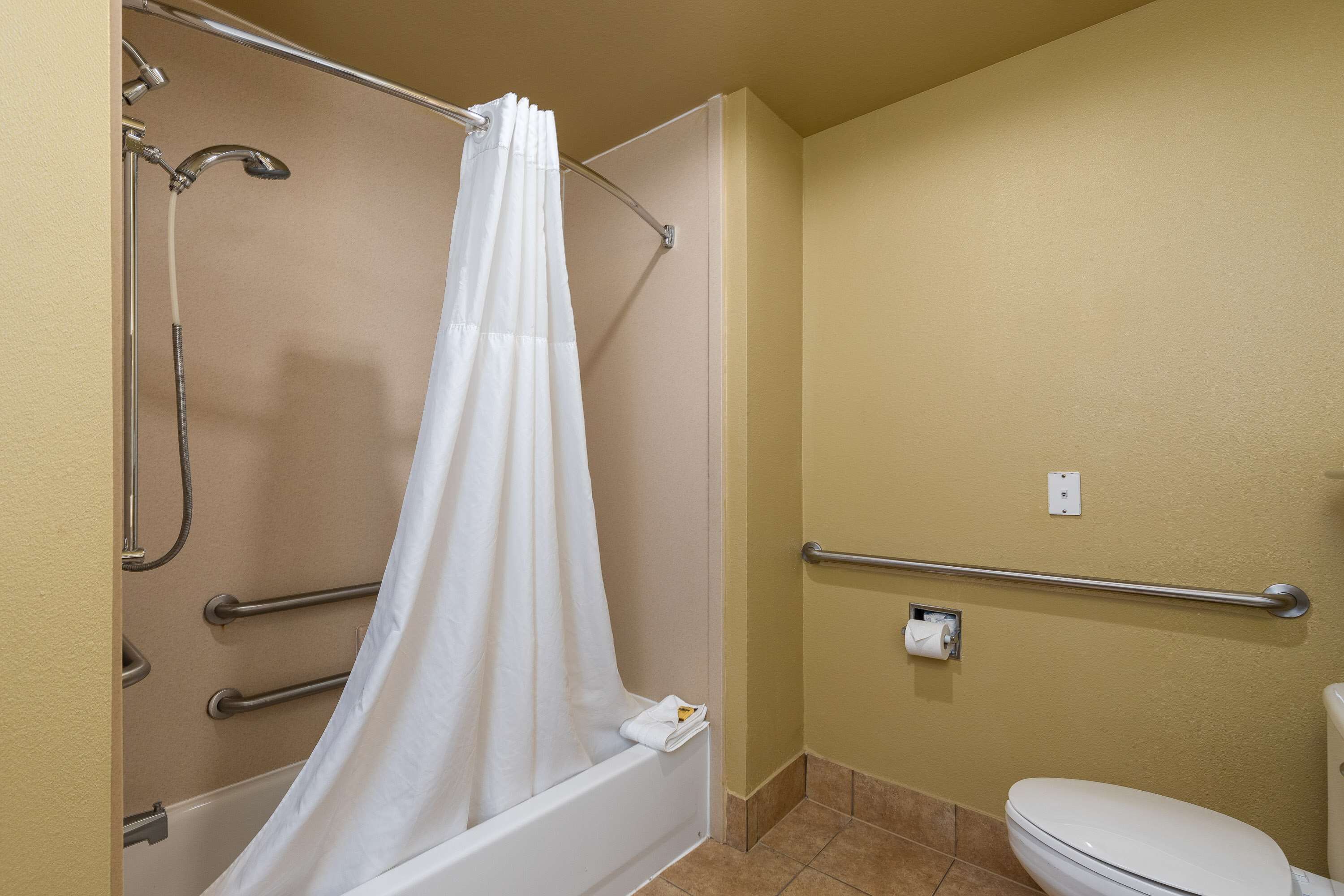 standard room, 1 king bed, accessible, non smoking | accessible bathroom