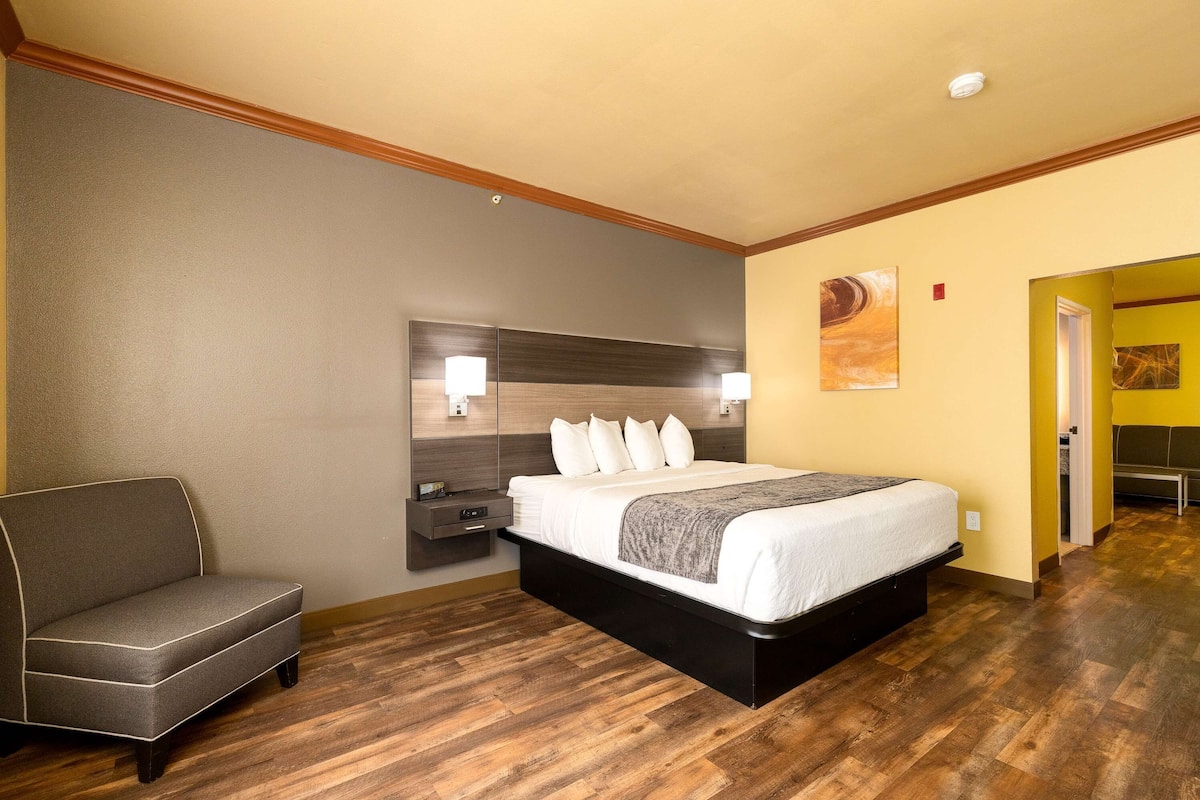 Phòng Suite, 1 giường cỡ king, không hút thuốc, bếp nhỏ (with Sofabed) | Bàn, khu vực làm việc phù hợp cho laptop, bàn ủi/dụng cụ ủi quần áo 
