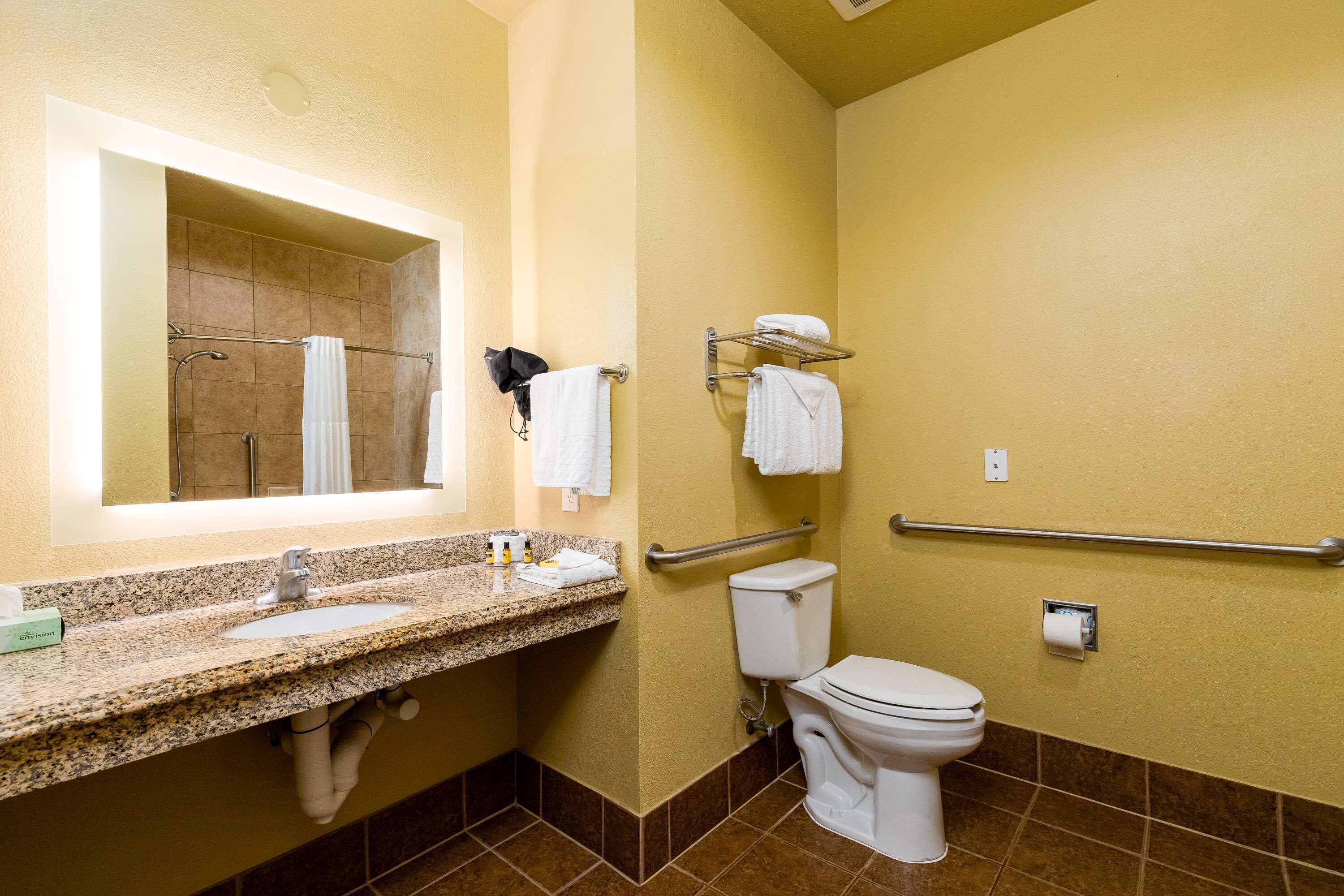 standard room, 1 king bed, accessible, non smoking | bathroom | free toiletries, hair dryer, towels, soap