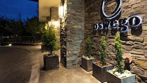 Een hotelentree met een gevel van steen, een opvallend logo en potplanten.