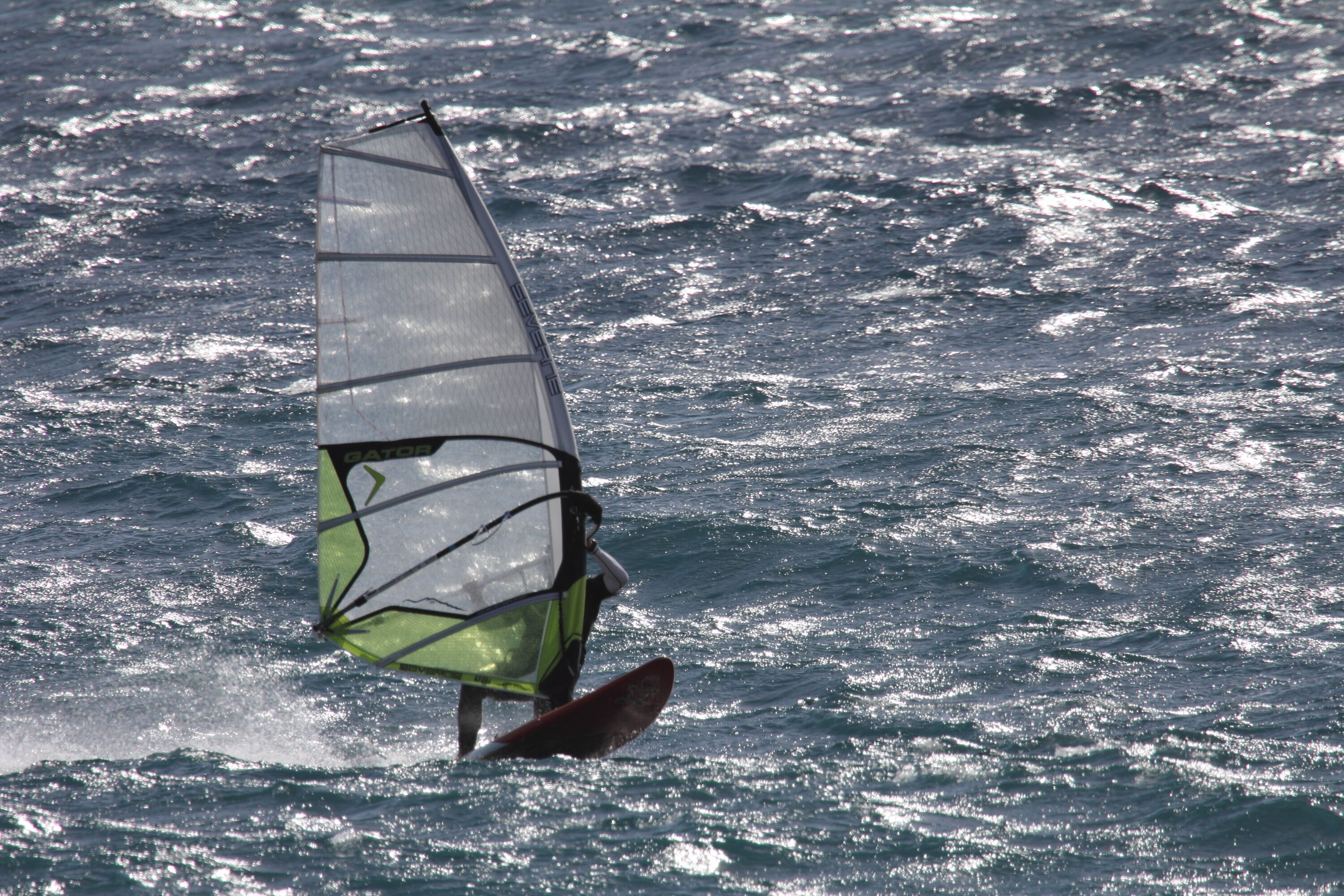 A person windsurfing on a body of water.
