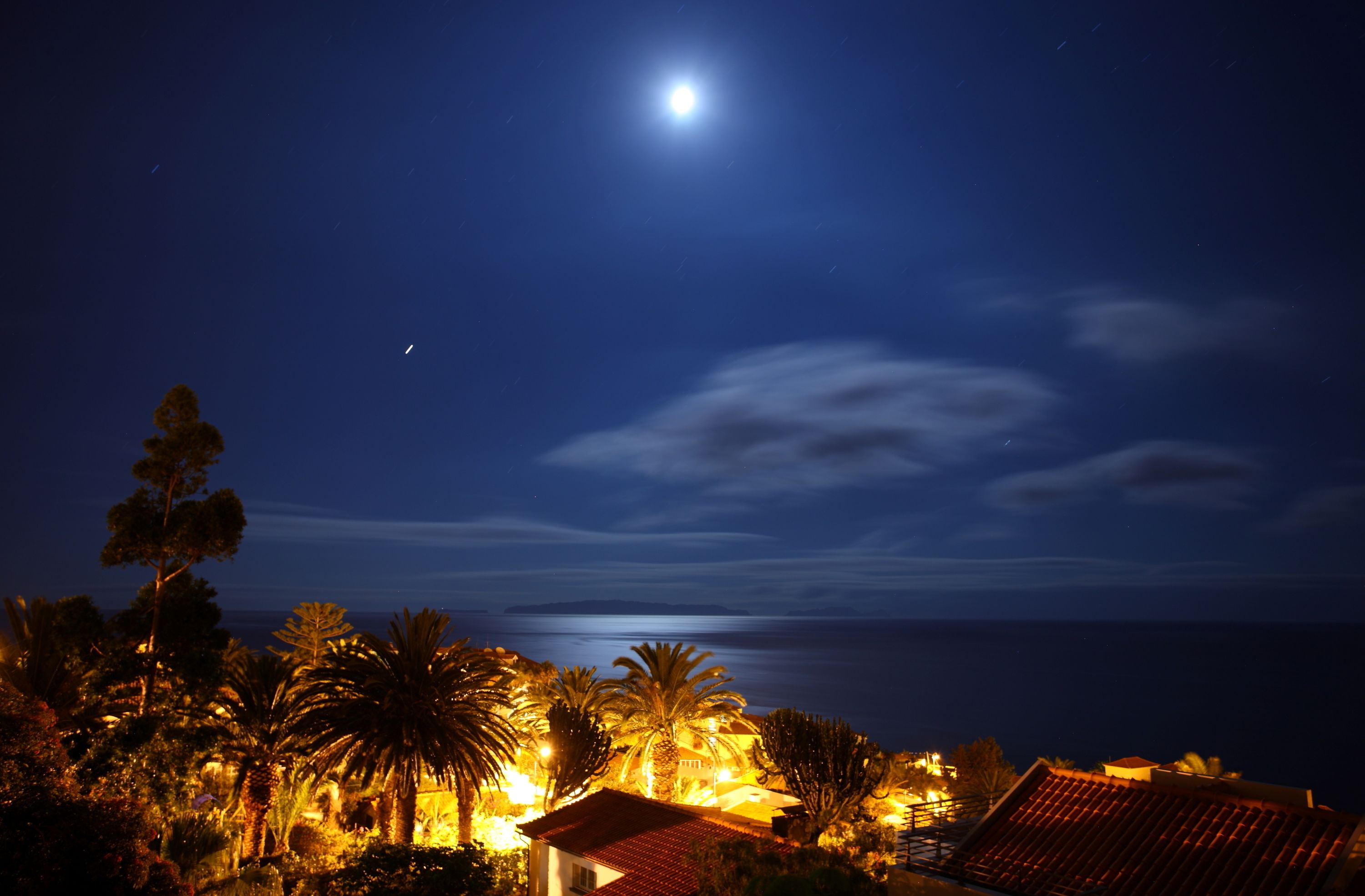 A night view of a coastal area with a lit building, palm trees, and a visible moon.