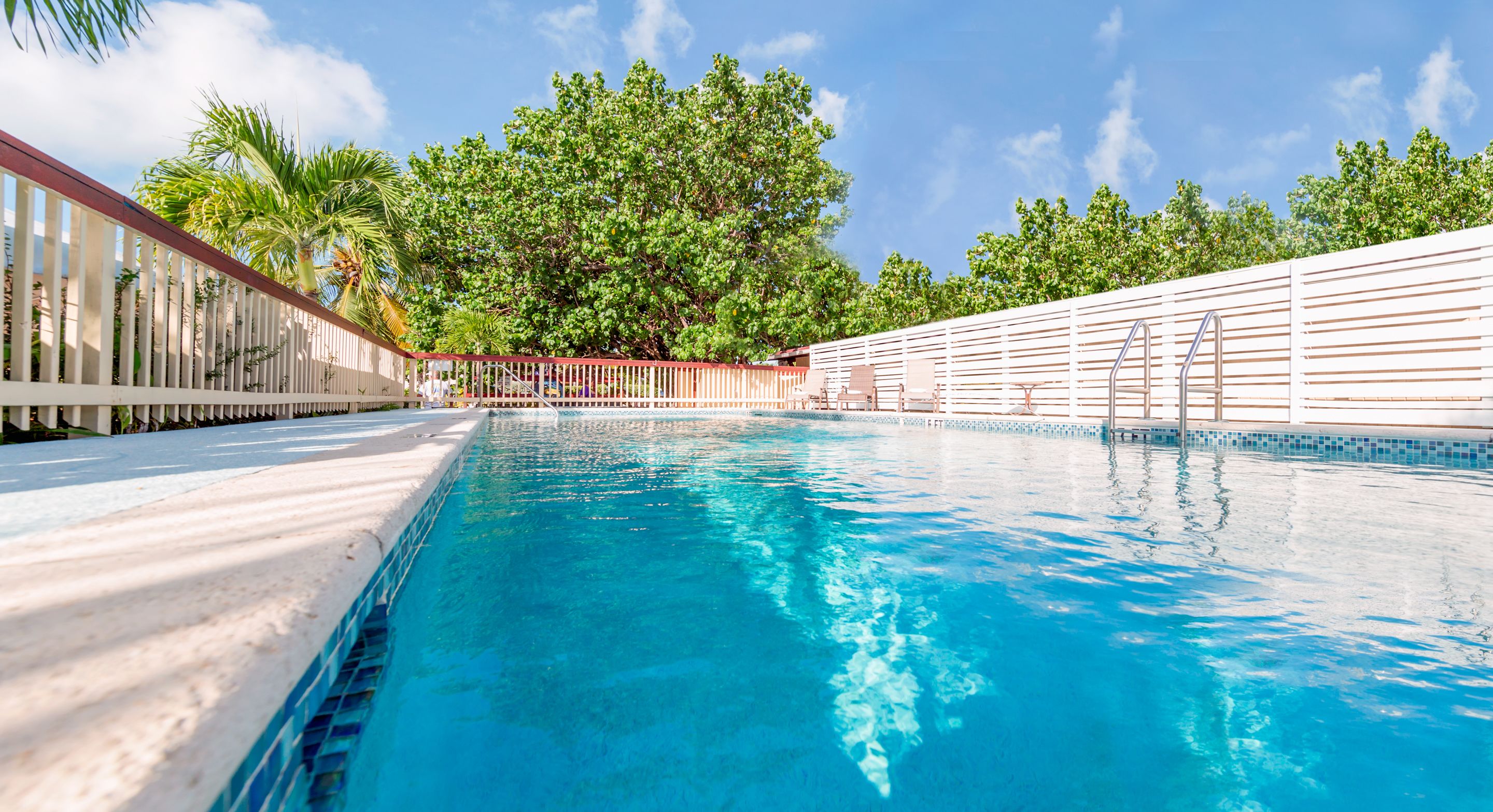 A swimming pool with a white fence, palm trees, and a clear blue sky.