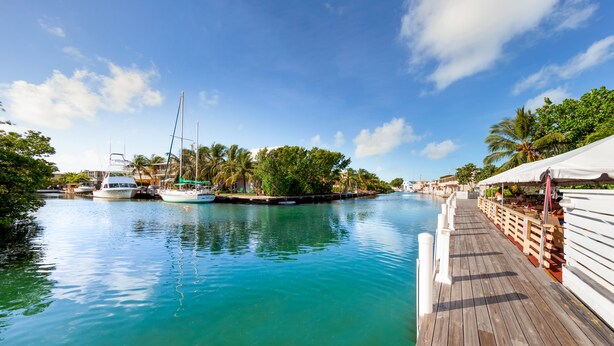 A wooden dock extending over calm turquoise water, lined with white railings and palm trees. - Creekside Inn (Tavernier)