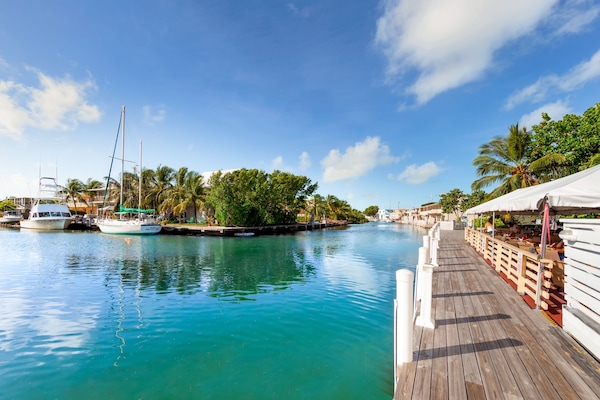 Vista desde la propiedad