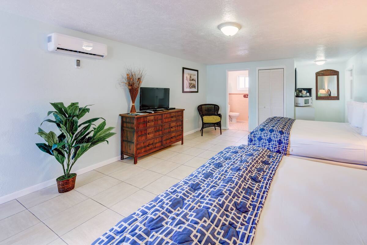Une chambre d’hôtel avec un grand lit, une télévision, une commode, une chaise et une plante en pot.