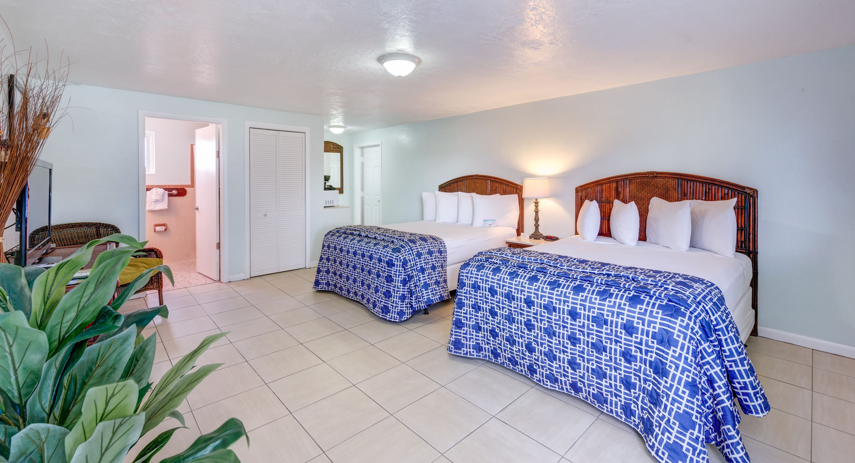A hotel room with two beds, a large potted plant, and a door leading to a bathroom.
