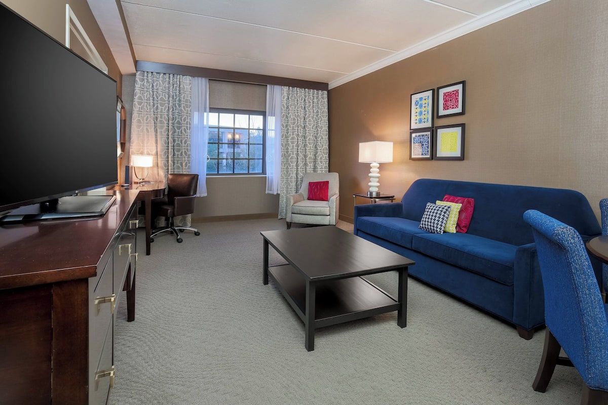 Une chambre d’hôtel équipée d’une télévision à écran plat, d’un bureau avec une lampe, d’un canapé bleu avec des coussins, d’une table basse et d’une fenêtre avec des rideaux à motifs.