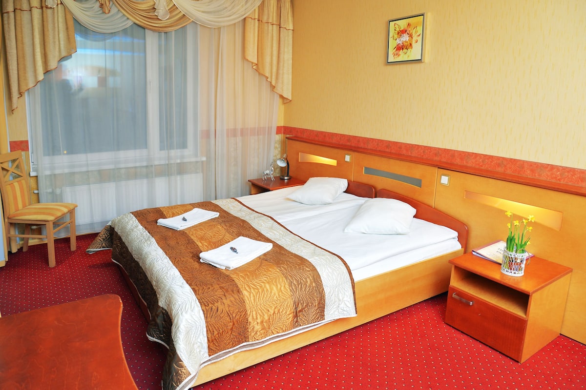 Habitación estándar con 1 cama doble o 2 individuales, 1 cama de matrimonio | Escritorio, tabla de planchar con plancha, camas supletorias