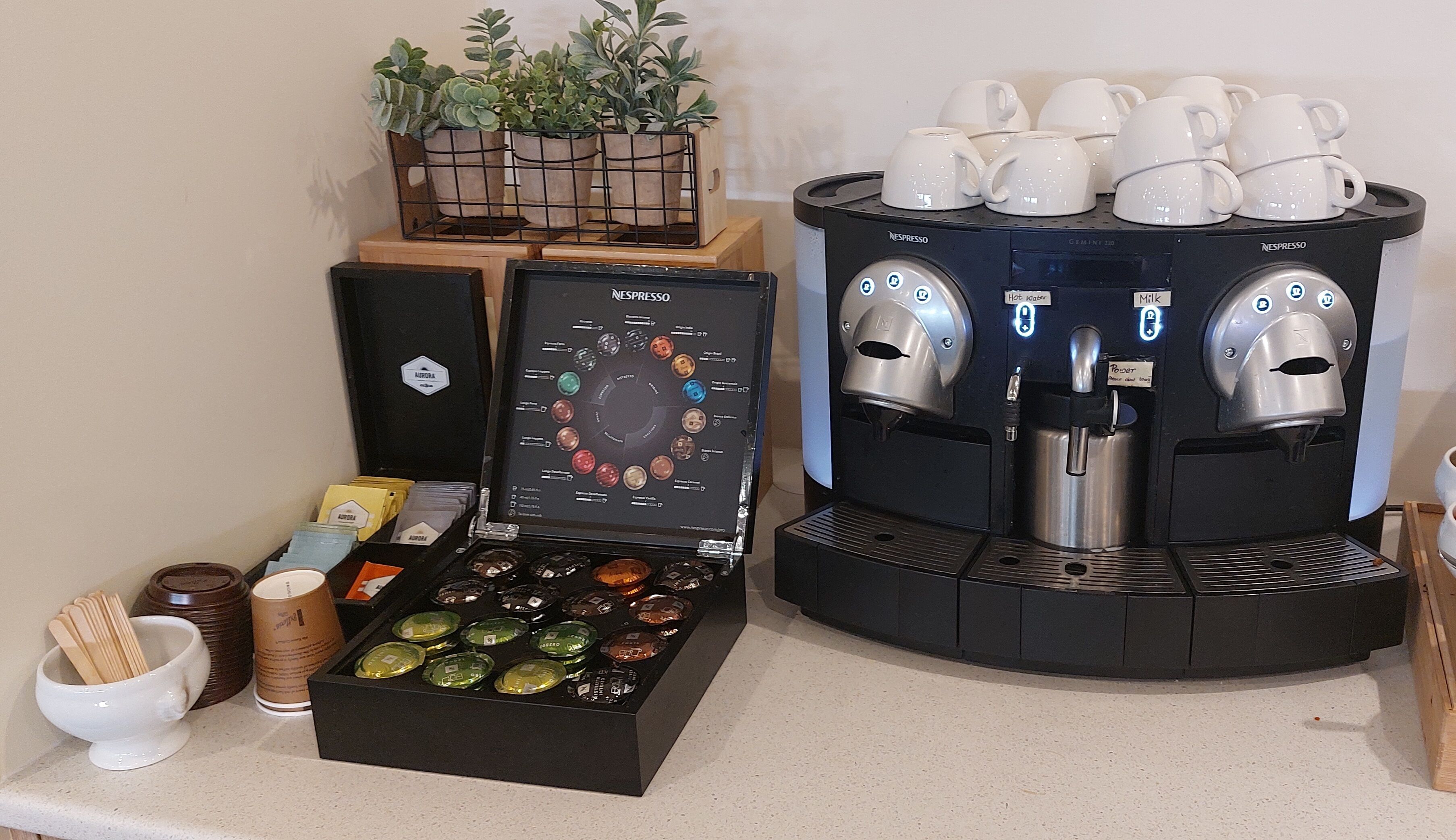 daily buffet breakfast for a fee