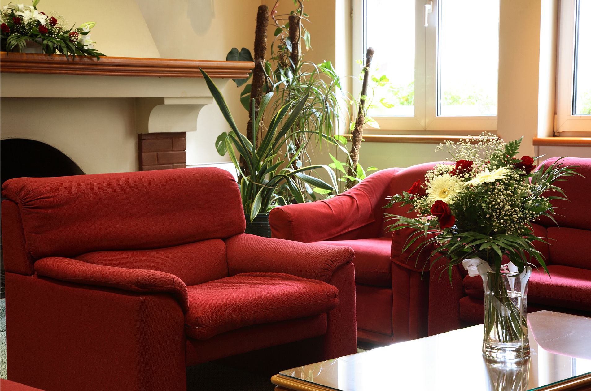A room with red armchairs, a clear vase with flowers, and a large plant.