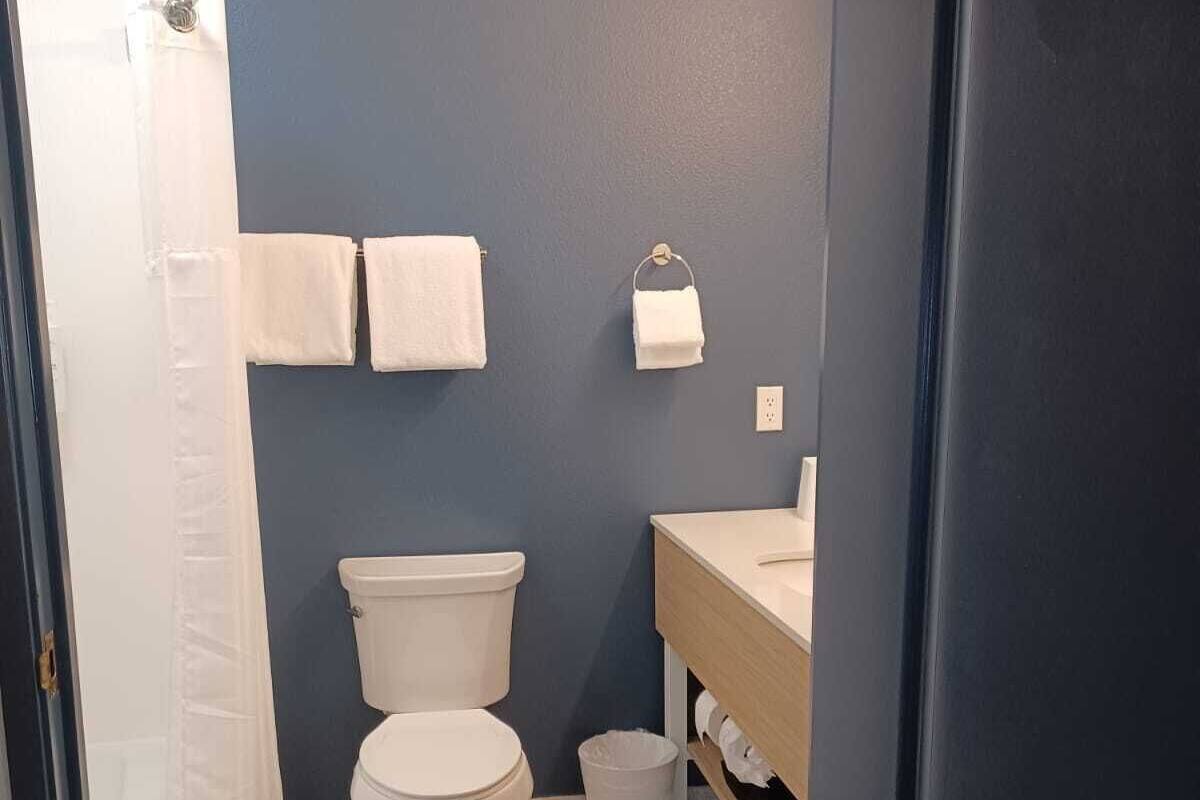 A bathroom with a toilet, sink, and towel rack.