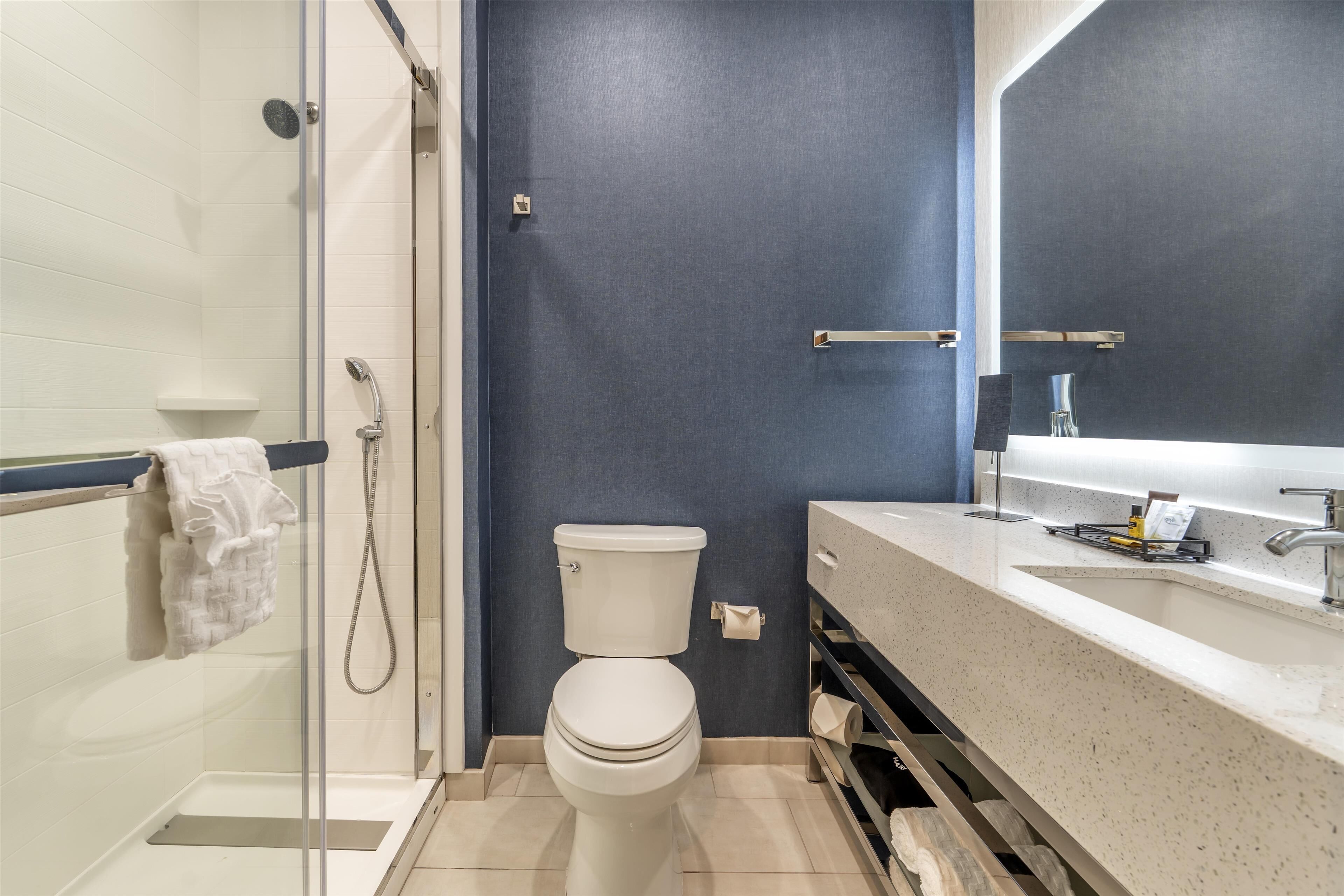 standard room, 1 king bed, non smoking | bathroom | free toiletries, hair dryer, towels