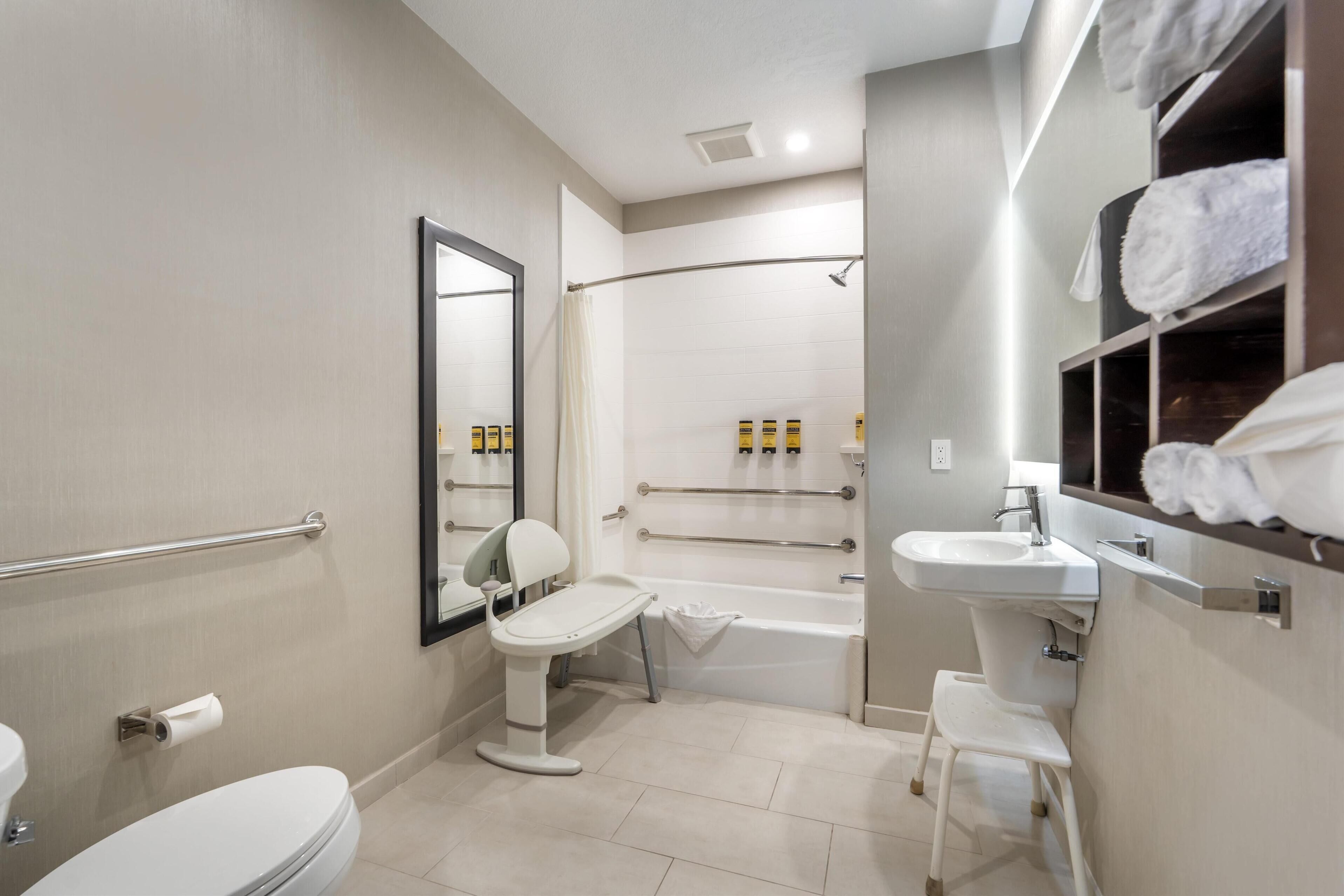 standard room, 1 double bed, accessible, bathtub | bathroom | free toiletries, hair dryer, towels