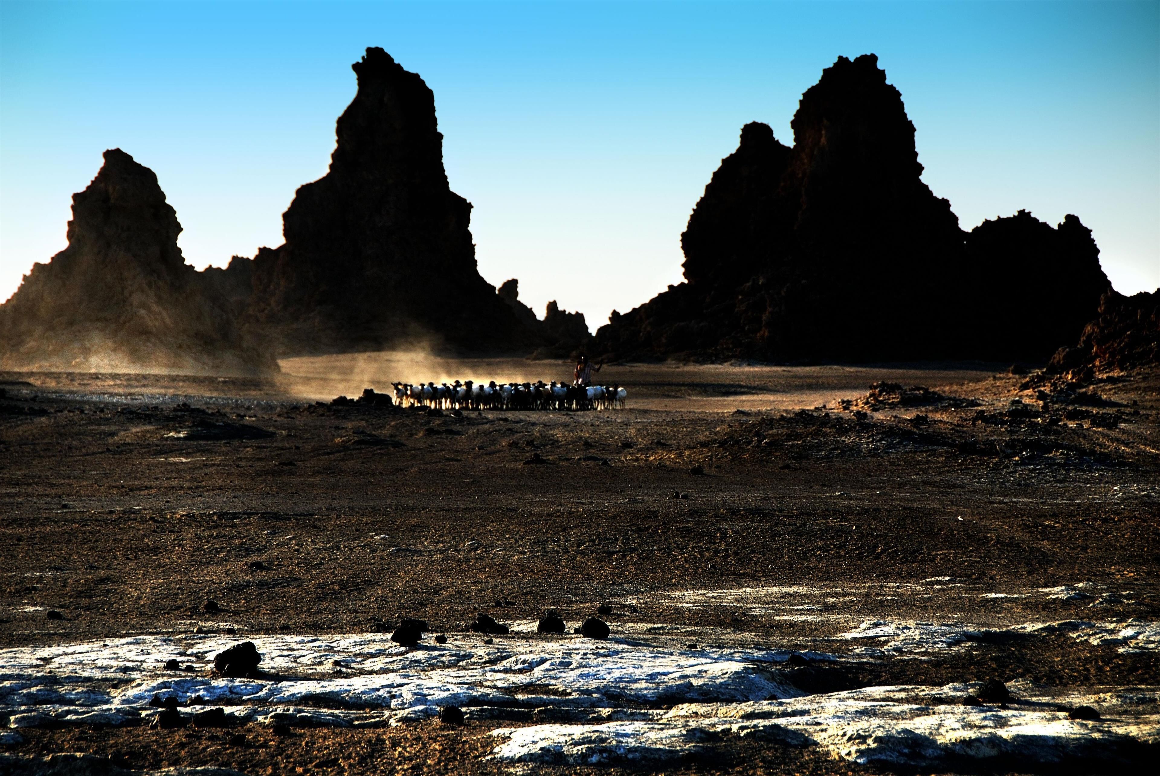Foto - Djibouti Palace Kempinski