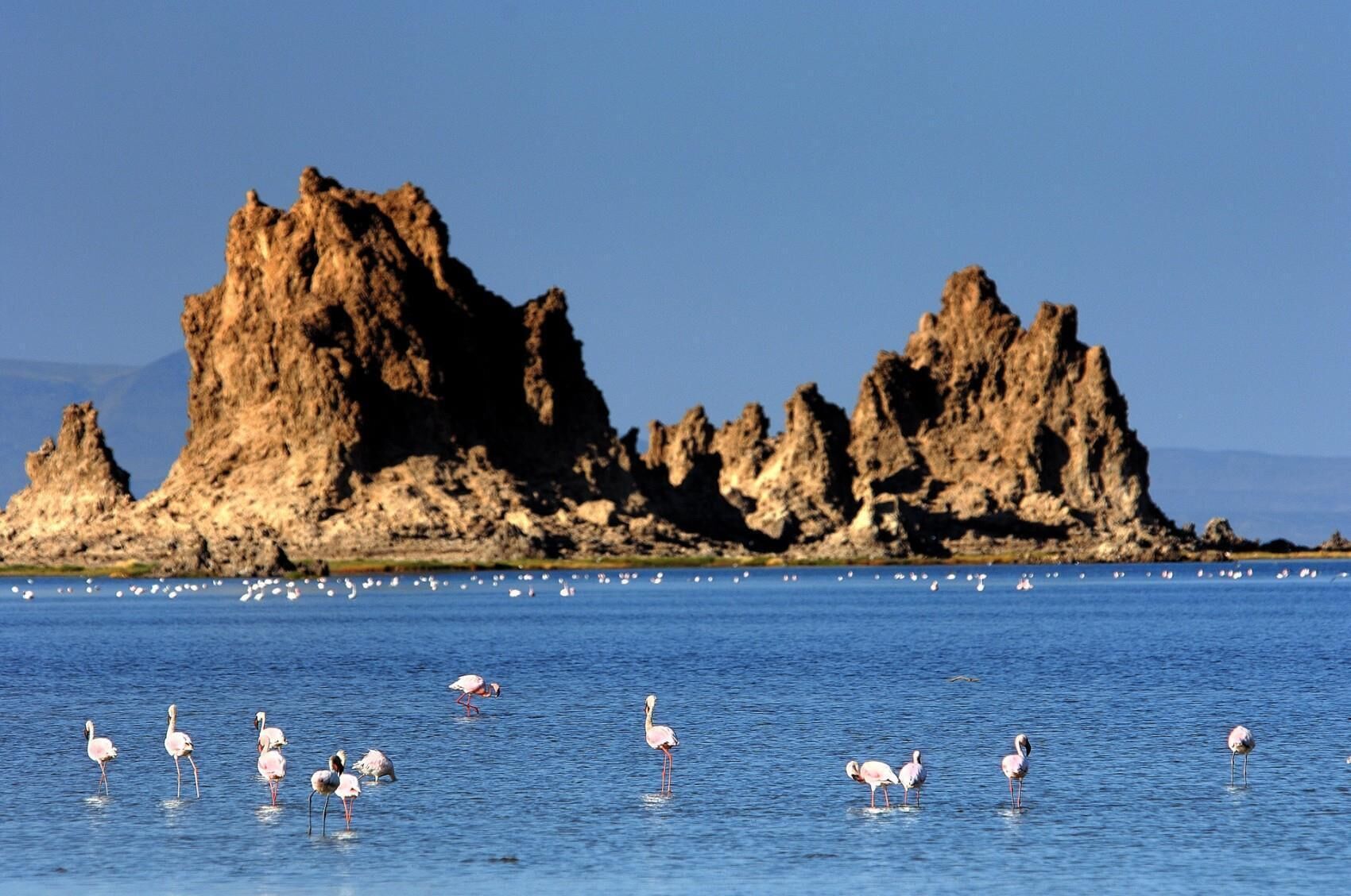 Foto - Djibouti Palace Kempinski