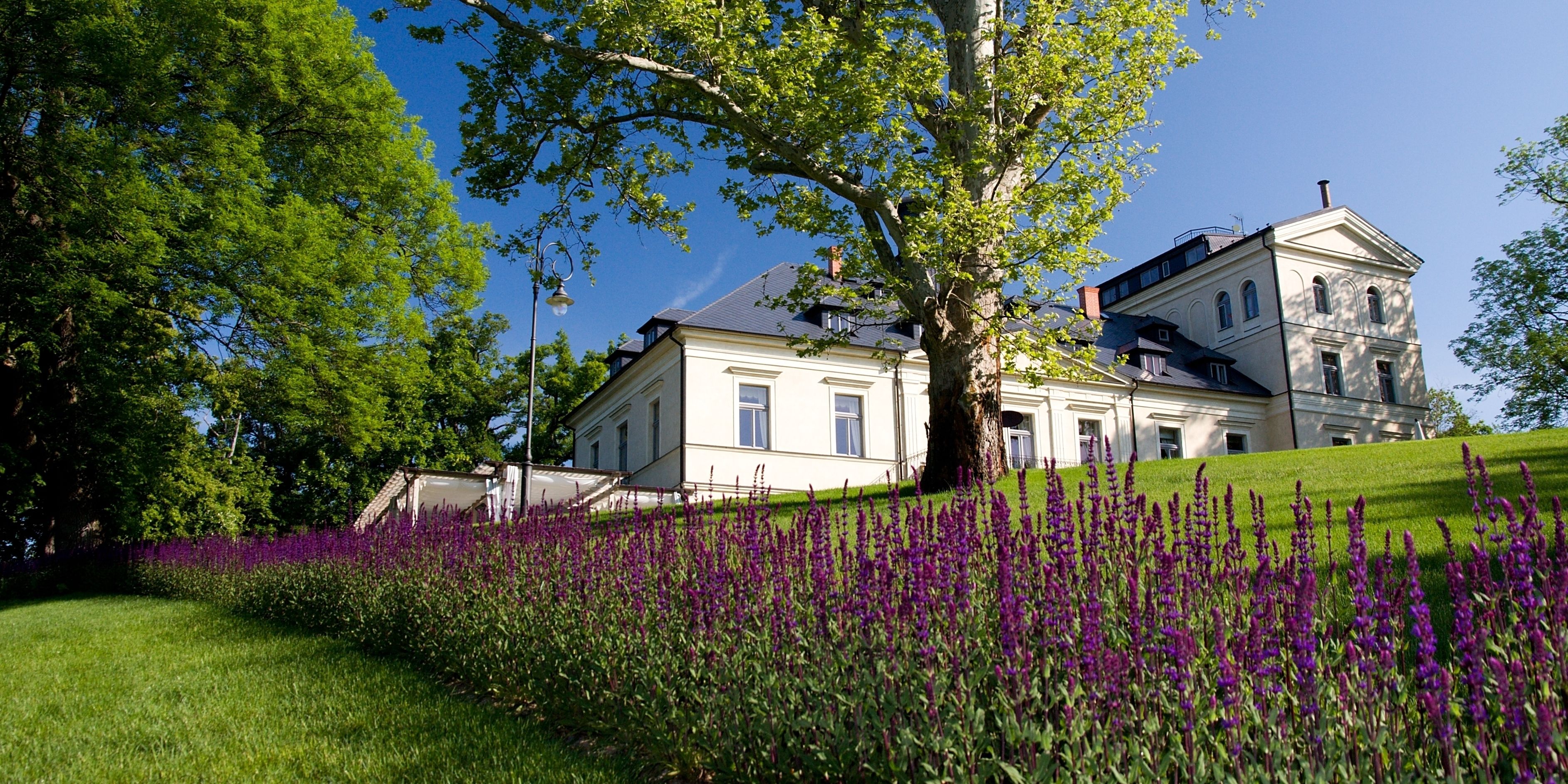 A large, historic building with a symmetrical facade, surrounded by lush greenery and a field of purple flowers.