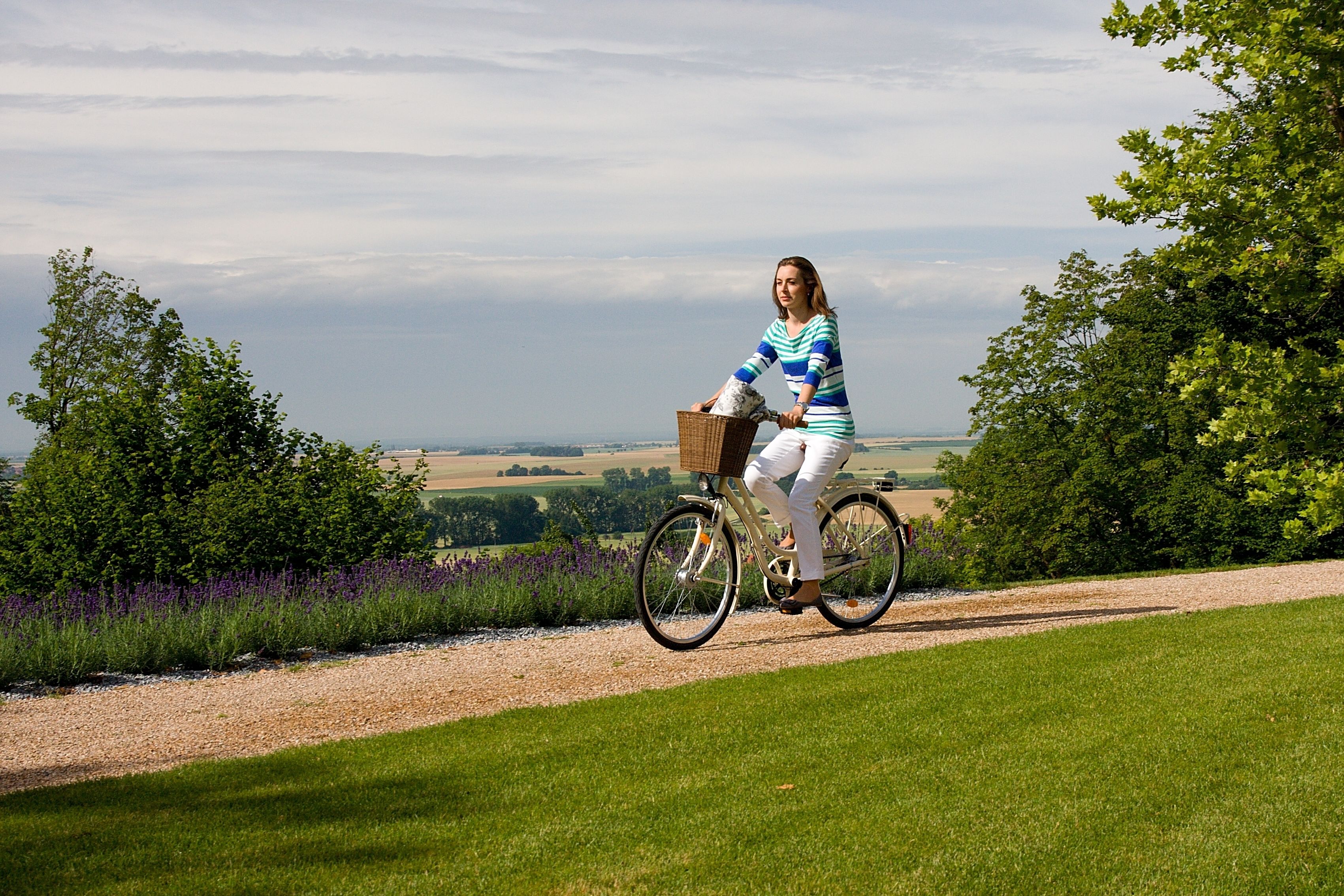 A person riding a bicycle on a gravel path with a basket on the front, surrounded by greenery and fields.