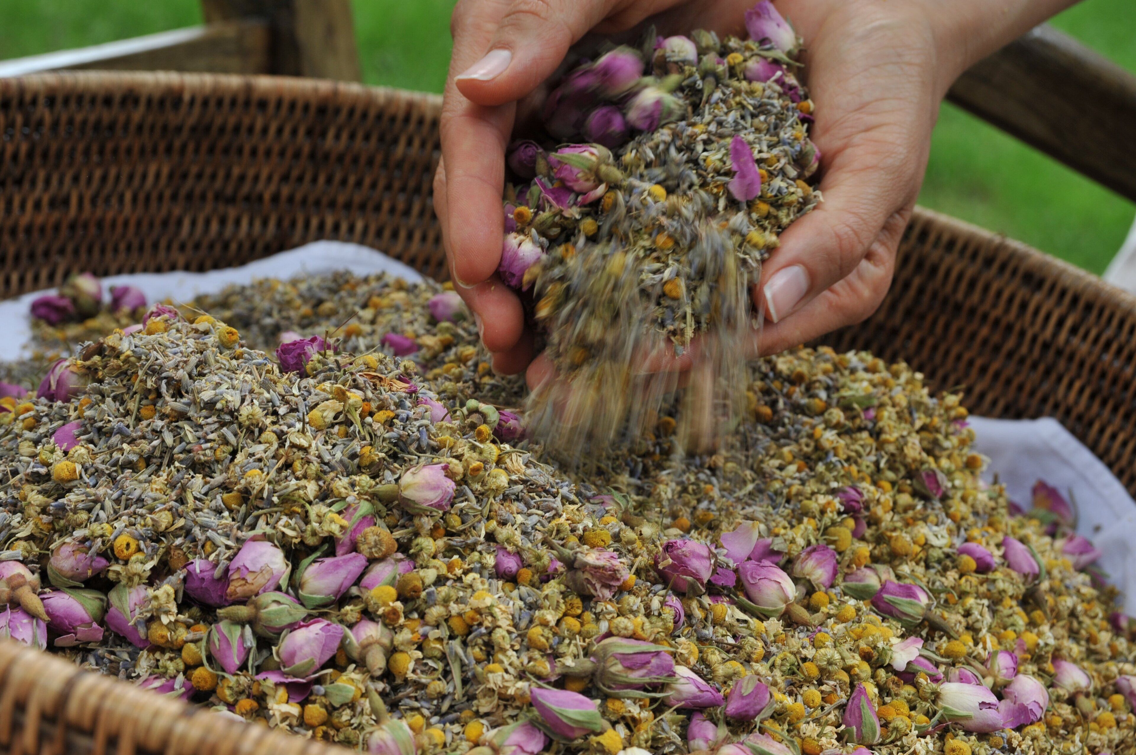 Una persona sosteniendo una cesta llena de hierbas y flores secas.