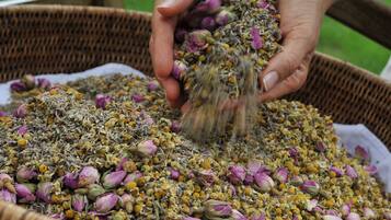 Una persona sosteniendo una cesta llena de hierbas y flores secas.