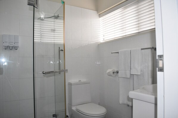 A bathroom with a glass-enclosed shower, a toilet, and a sink with a towel rack.