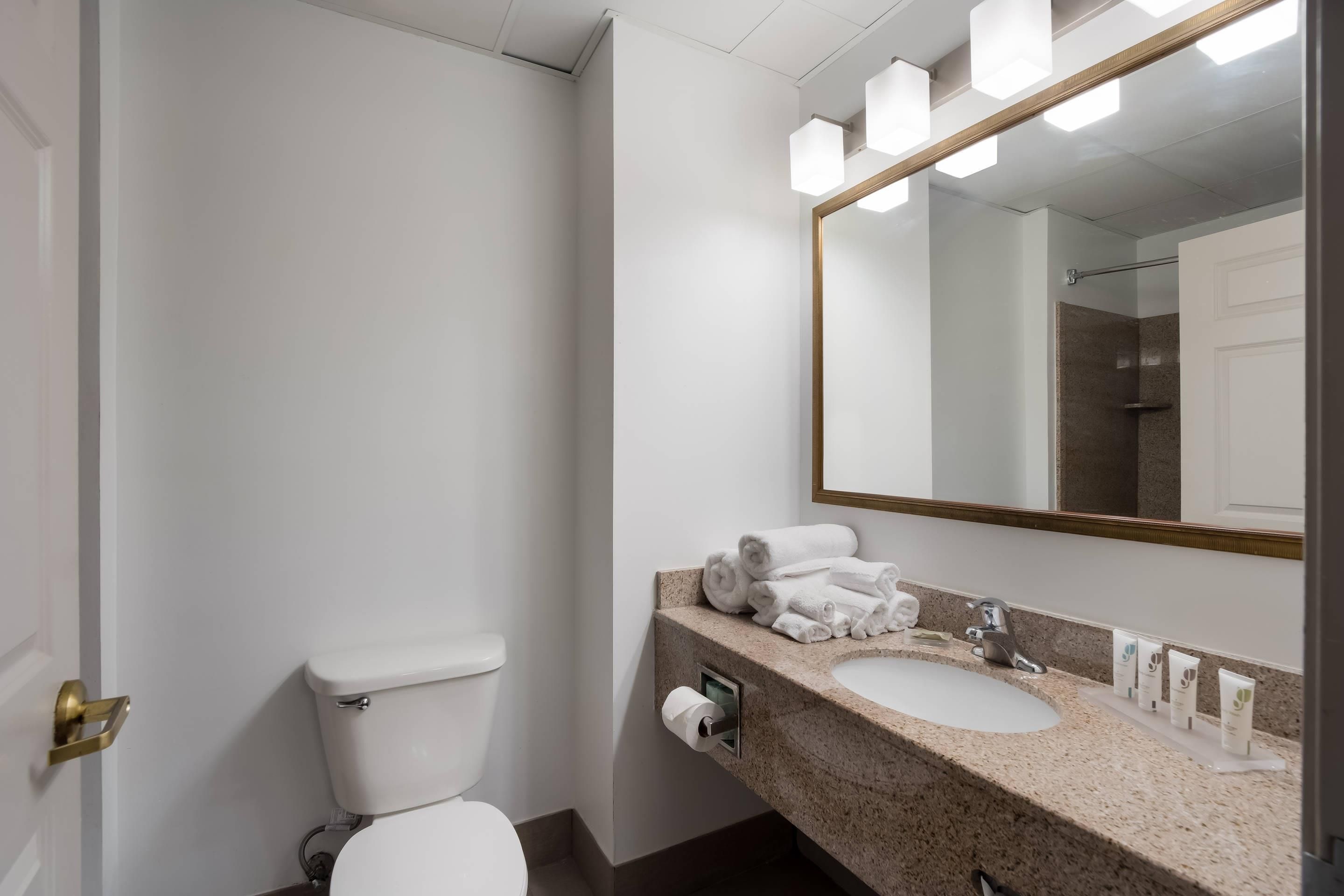 Ein Badezimmer mit Toilette, Waschbecken und Spiegel.