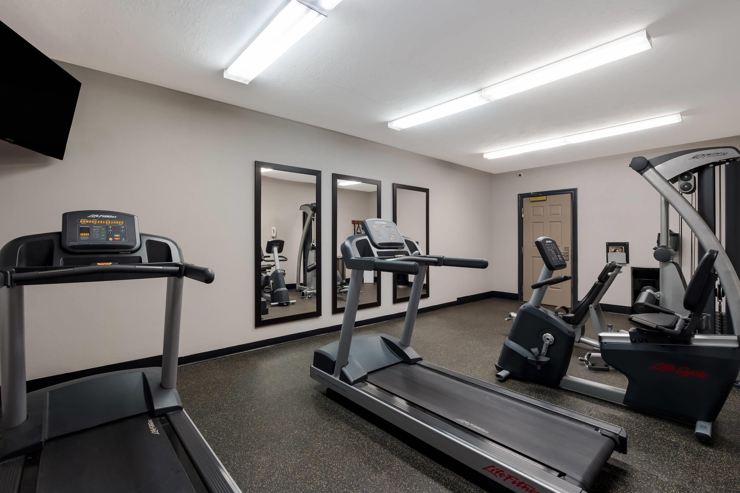 A gym with treadmills, elliptical machines, and weight equipment.