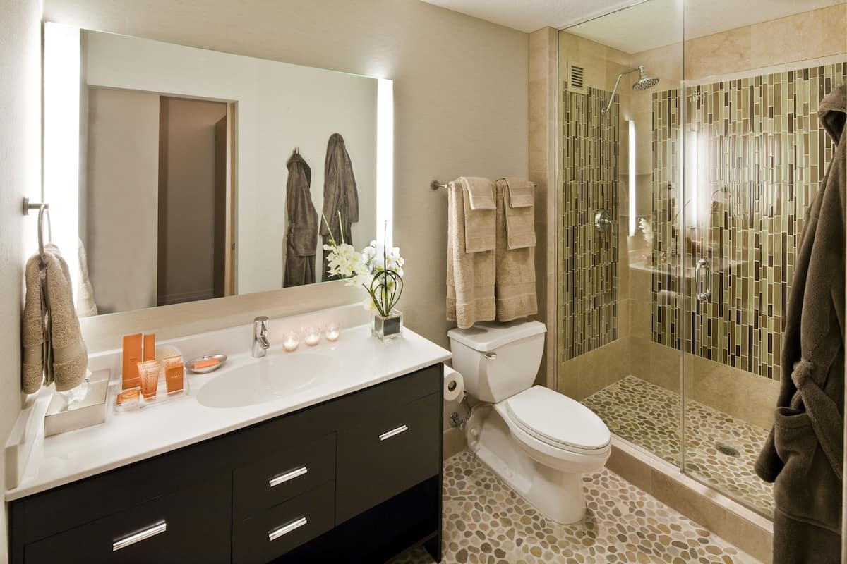 shower, free toiletries, hair dryer, towels