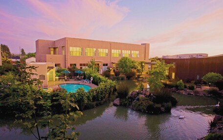 A modern building with a swimming pool surrounded by greenery and a small pond with swans.