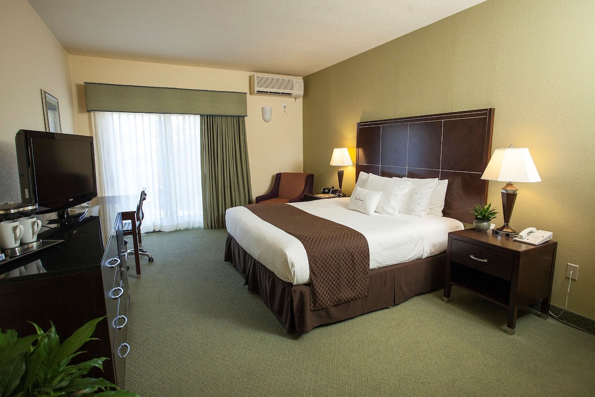 A hotel room with a bed, bedside lamps, a desk with a television, and a small plant.