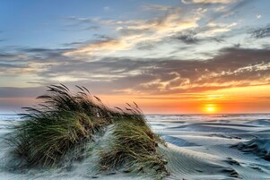 Beach/ocean view