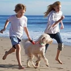 On the beach